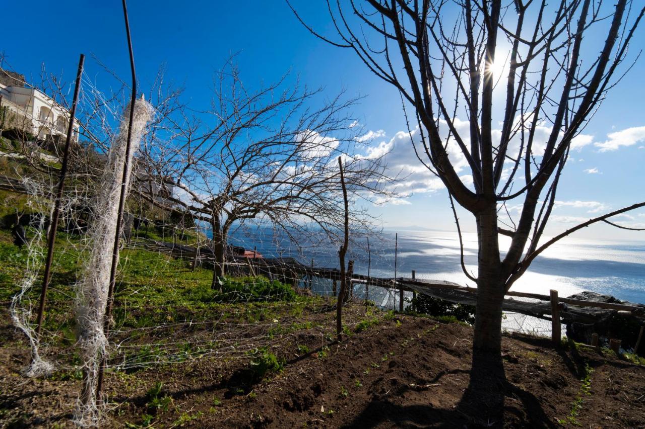 Paradise Amalfi House Villa Exterior foto