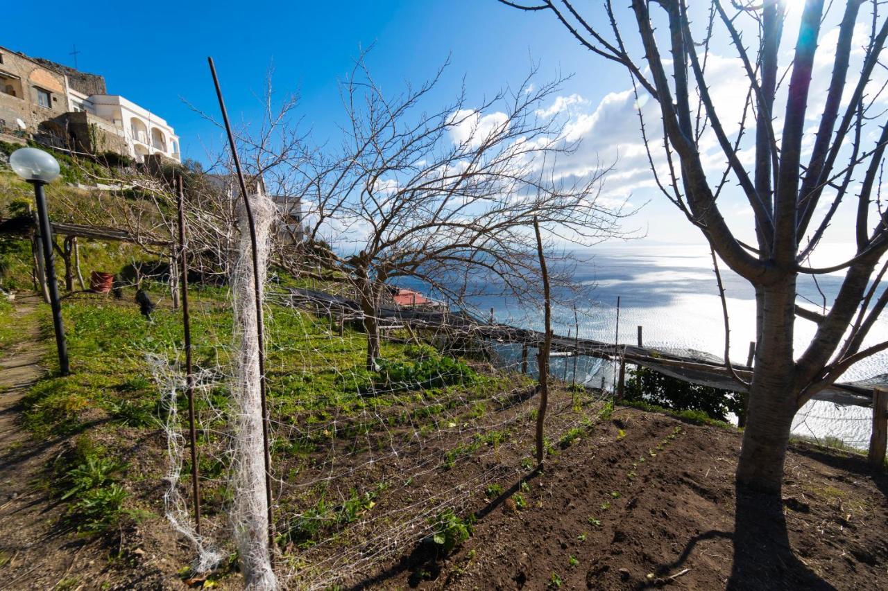 Paradise Amalfi House Villa Exterior foto