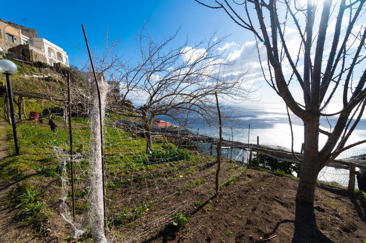 Paradise Amalfi House Villa Exterior foto